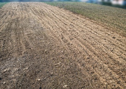 działka na sprzedaż - Kraków, Prądnik Biały, Tonie