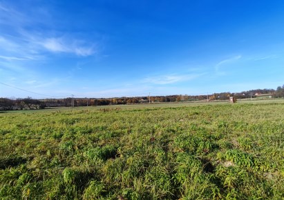 działka na sprzedaż - Skała (gw), Cianowice