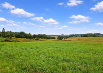 działka na sprzedaż - Skała (gw), Smardzowice