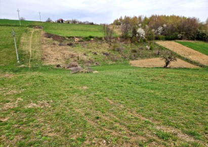 działka na sprzedaż - Michałowice (gw), Kozierów