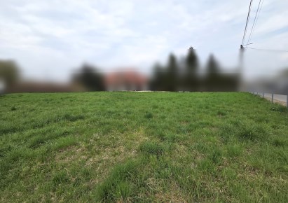 działka na sprzedaż - Zielonki, Bibice