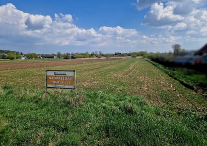 działka na sprzedaż - Proszowice (gw), Opatkowice