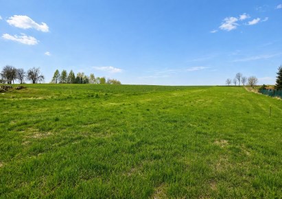 działka na sprzedaż - Zielonki, Garliczka