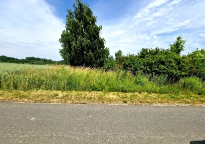 działka na sprzedaż - Zielonki, Grębynice