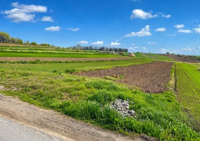 działka na sprzedaż - Zielonki, Garlica Murowana