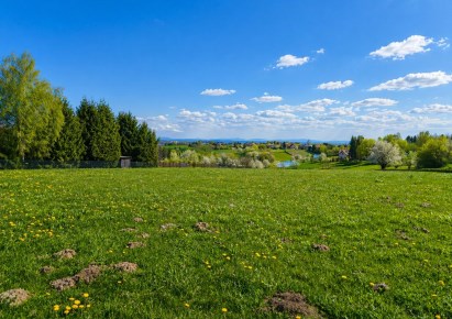 działka na sprzedaż - Zielonki, Garliczka