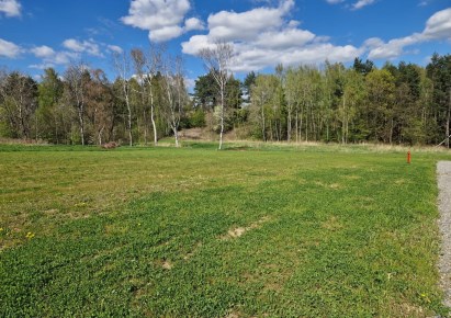 działka na sprzedaż - Michałowice (gw), Masłomiąca