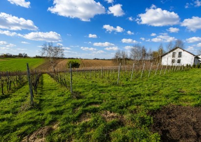 działka na sprzedaż - Skała (gw), Cianowice