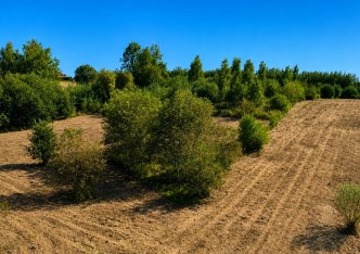 działka na sprzedaż - Zielonki, Marszowiec