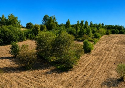 działka na sprzedaż - Zielonki, Marszowiec