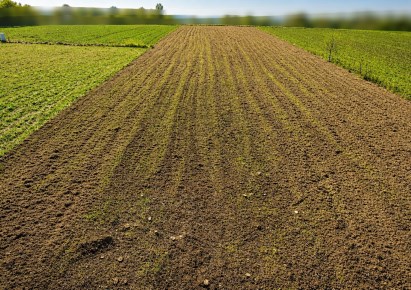 działka na sprzedaż - Kraków, Prądnik Biały, Tonie