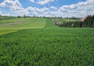 działka na sprzedaż - Michałowice (gw), Masłomiąca