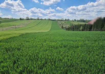 działka na sprzedaż - Michałowice (gw), Masłomiąca