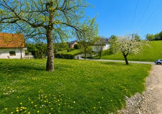działka na sprzedaż - Zielonki, Owczary