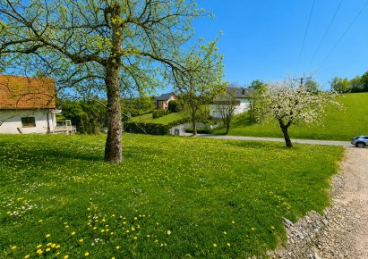 działka na sprzedaż - Zielonki, Owczary