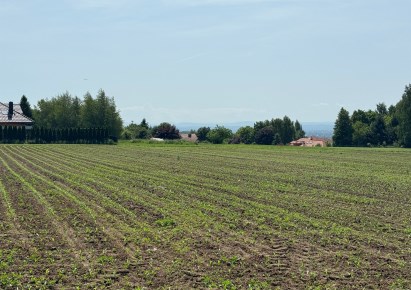 działka na sprzedaż - Michałowice (gw), Górna Wieś