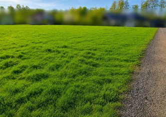 działka na sprzedaż - Zielonki