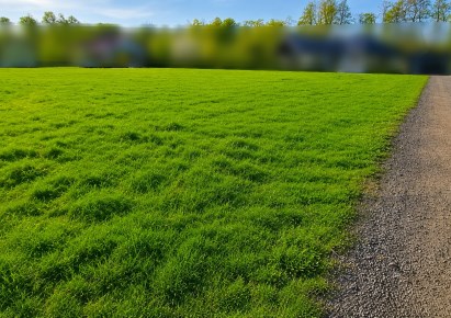 działka na sprzedaż - Zielonki