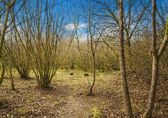 działka na sprzedaż - Zielonki, Bibice