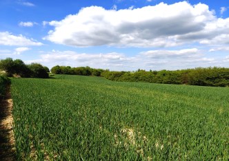działka na sprzedaż - Skała (gw), Grodzisko