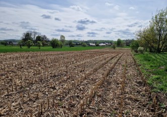 działka na sprzedaż - Kocmyrzów-Luborzyca, Goszcza