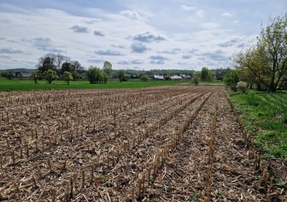 działka na sprzedaż - Kocmyrzów-Luborzyca, Goszcza