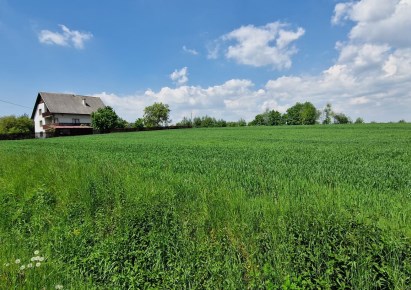 działka na sprzedaż - Brzeźnica, Marcyporęba