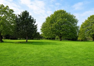 działka na sprzedaż - Zielonki, Dziekanowice