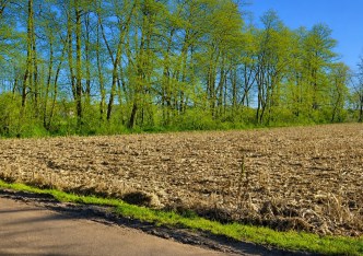 działka na sprzedaż - Zielonki, Pękowice