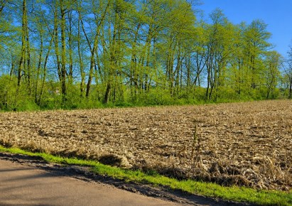 działka na sprzedaż - Zielonki, Pękowice