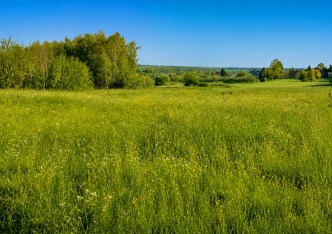 działka na sprzedaż - Skała (gw), Smardzowice