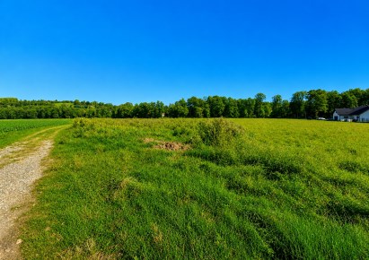 działka na sprzedaż - Zielonki, Januszowice