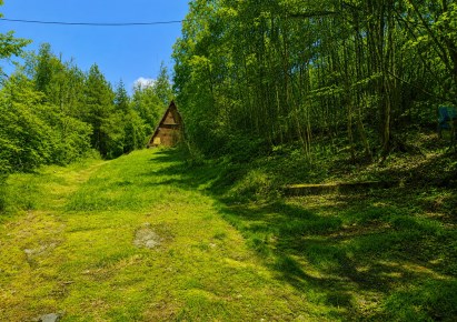 działka na sprzedaż - Iwanowice, Iwanowice Włościańskie