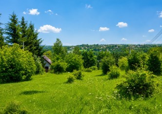 działka na sprzedaż - Skała (gw), Świnczów