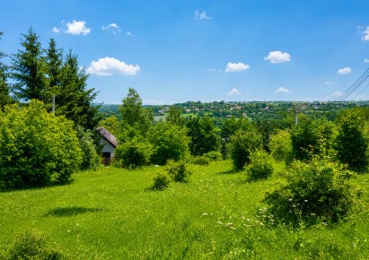 działka na sprzedaż - Skała (gw), Świnczów