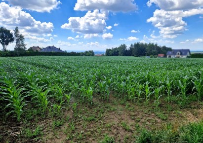 działka na sprzedaż - Michałowice (gw), Górna Wieś