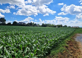 działka na sprzedaż - Michałowice (gw), Górna Wieś