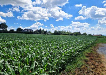 działka na sprzedaż - Michałowice (gw), Górna Wieś