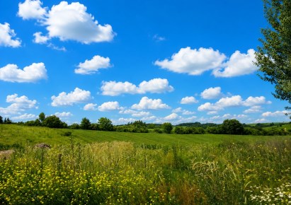 działka na sprzedaż - Michałowice (gw), Michałowice