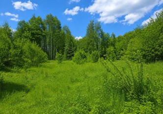 działka na sprzedaż - Skała (gw), Szczodrkowice