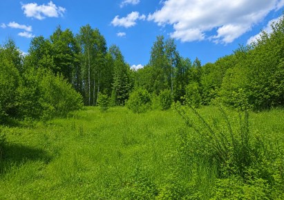 działka na sprzedaż - Skała (gw), Szczodrkowice