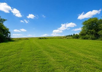 działka na sprzedaż - Skała (gw), Rzeplin