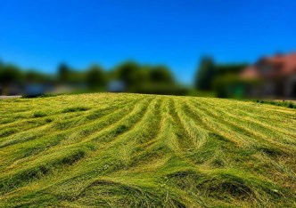 działka na sprzedaż - Zielonki, Bibice