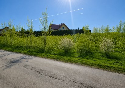 działka na sprzedaż - Iwanowice, Narama