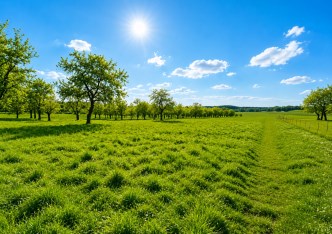 działka na sprzedaż - Skała (gw), Smardzowice