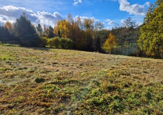działka na sprzedaż - Iwanowice, Maszków