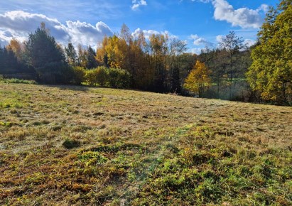 działka na sprzedaż - Iwanowice, Maszków