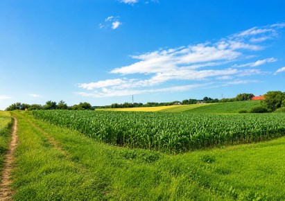 działka na sprzedaż - Zielonki, Bibice