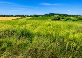 działka na sprzedaż - Zielonki, Bibice