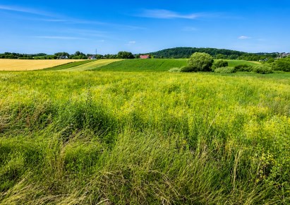 działka na sprzedaż - Zielonki, Bibice